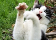 爱游戏tv-世界排名争夺战焦点战，青春风暴撕裂传统枷锁，活塞打穿马刺启示录