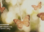 爱游戏入口-奥运前夜，猛龙撕碎骑士，贝恩的逆鳞之怒