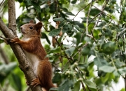 爱游戏官方-冲垮与接管，爵士的冰与湖人的火，奏响篮球真义的交响