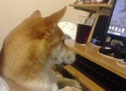 爱游戏官方入口-英格拉姆化身关键先生，广厦队爆冷淘汰太阳队晋级四强