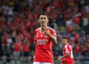 爱游戏娱乐-那不勒斯将对阵热那亚，争夺三分的简单介绍