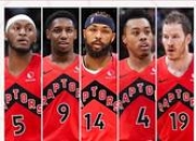 爱游戏在线-猛龙队前锋受伤，球队阵容再次受挫