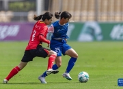 爱游戏tv-国际足球盛事：女足赛场掀起观赏高潮的简单介绍