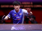 爱游戏官方-关于瑞典乒乓球队鏖战德国乒乓球队，张本智和高光表现的信息