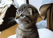 爱游戏-西甲国家德比之夜，范弗利特打出统治级数据，当篮球大脑支配绿茵场