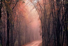 爱游戏APP-阿尔艾因赛前战术会议，细节决定比赛胜负