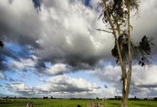 爱游戏官方入口-卡尔蒂斯阵容磨合加速，迎接严峻挑战