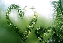 爱游戏官网-绿茵风暴眼！摩洛哥联赛上演三王争鼎，最终决战今夜打响