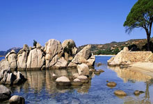 爱游戏官方入口-利物浦：斗志昂扬，庆祝胜利的荣耀时刻