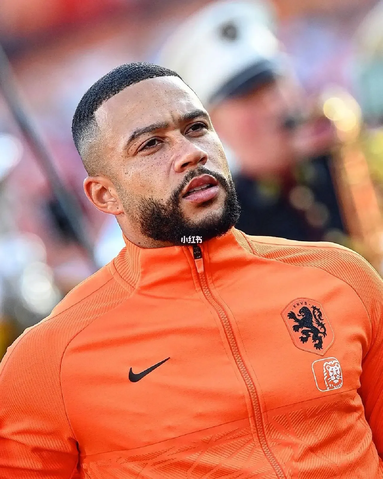 包含孟菲斯自由转会加盟汉堡,球迷期待他的表现的词条 包含孟菲斯自由转会加盟汉堡,球迷期待他的表现的词条