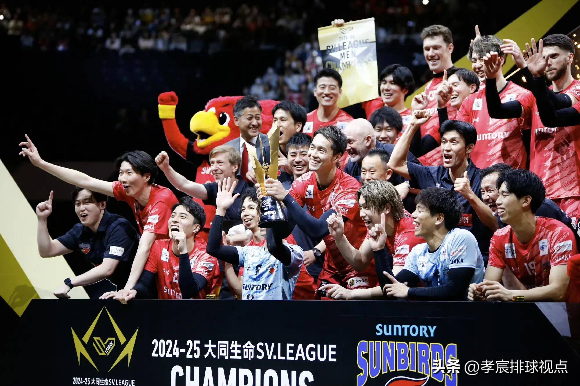 男排新军夺冠,少年横空出世! 男排新军夺冠,少年横空出世!