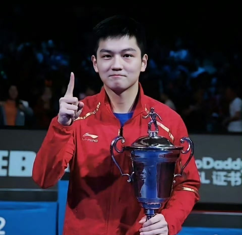 包含中国队逆转法国队，王皓高光表现的词条