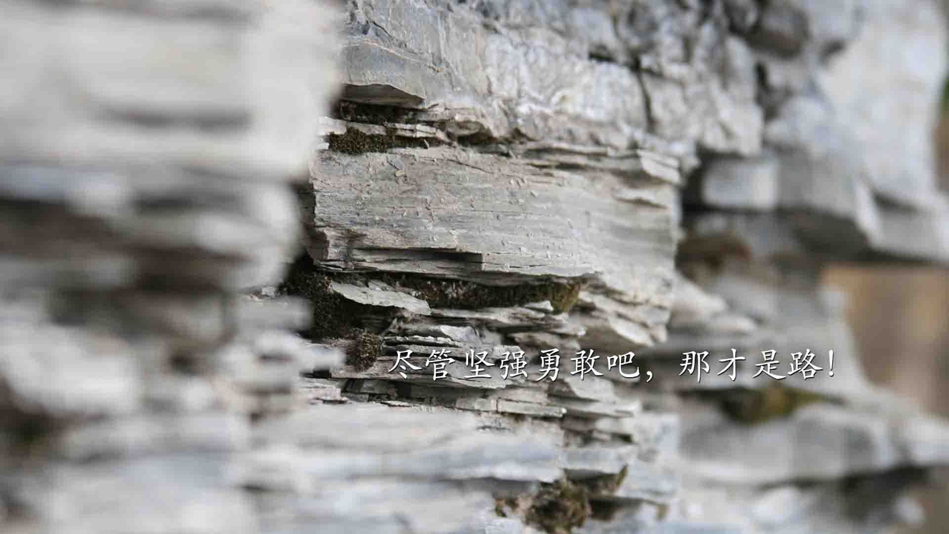 跨越篮球世界的一战,尼克斯鏖战广厦,新星切特创里程碑之夜