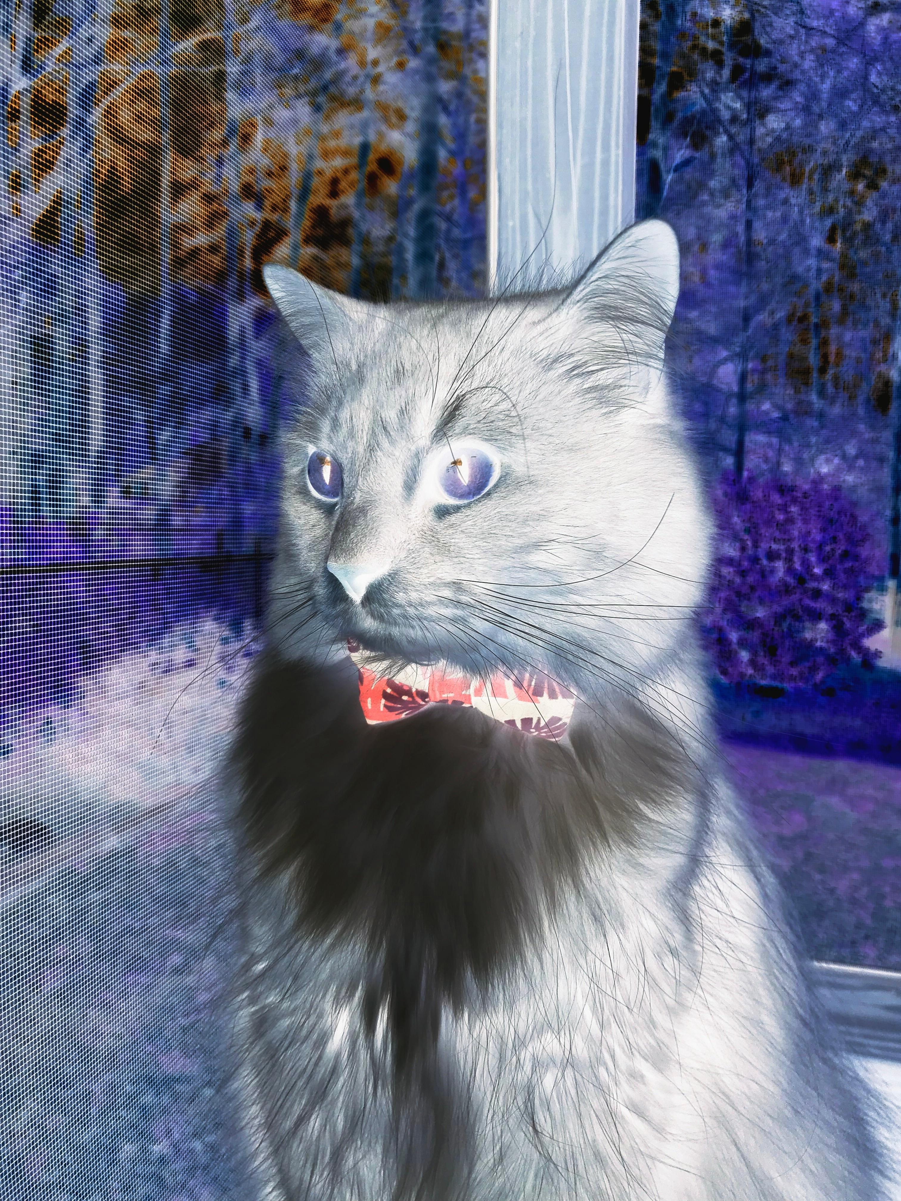 黄喜灿一剑封喉！葡萄牙体育主场力克马赛占先机