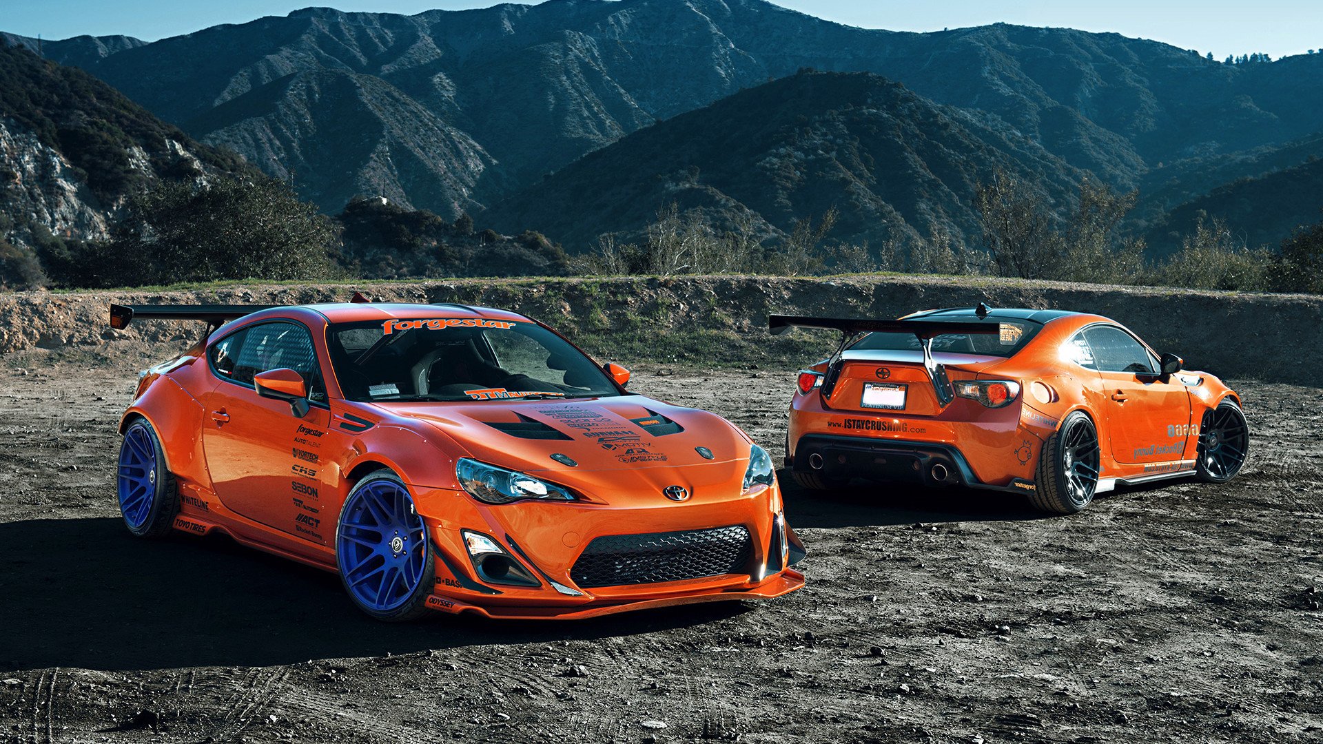 掌控与反制,福克斯主导节奏,辽宁团队之力击溃公牛