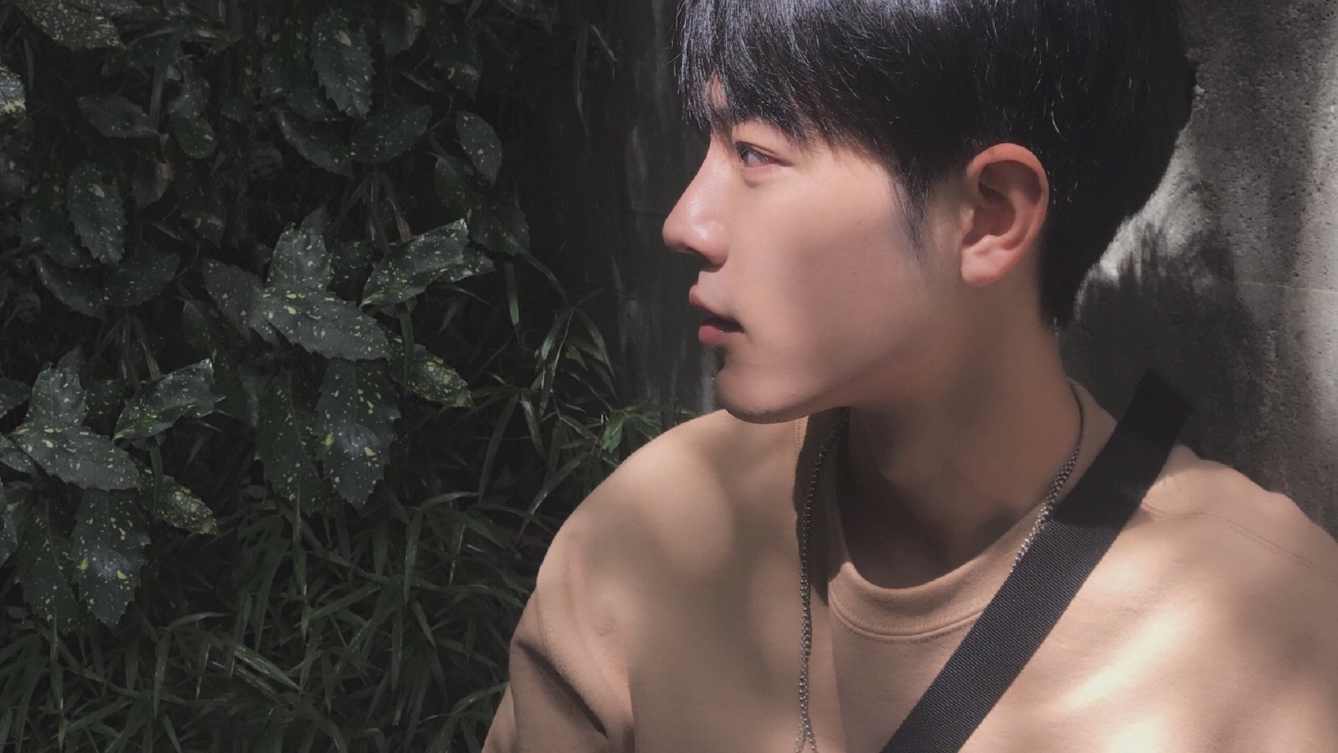 总冠军球队的最终形态，成王败寇的两种解答