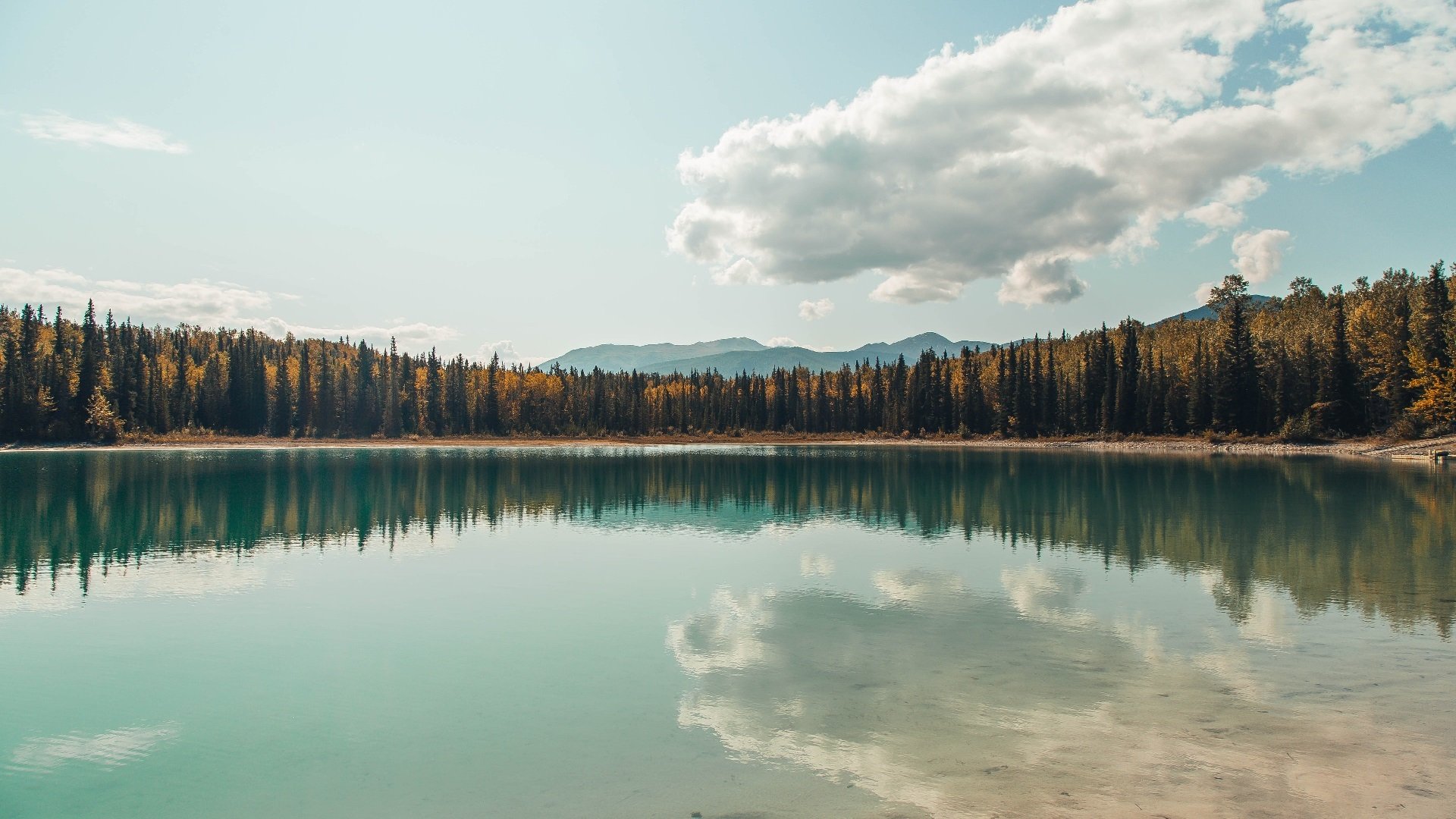 萨克拉门托黎明，杰伦·格林的关键节点觉醒与一记改写命运的绝杀