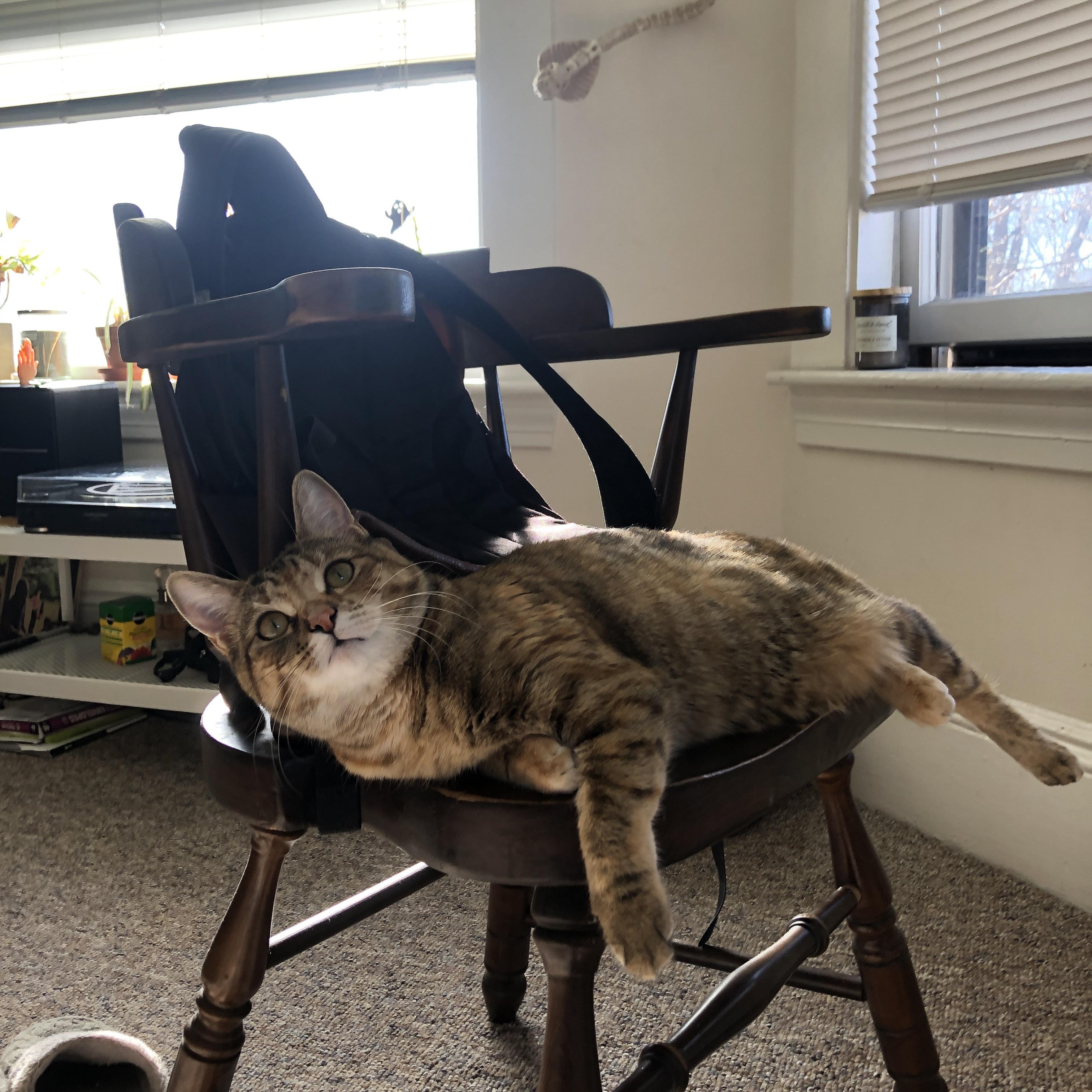 萨克拉门托黎明，杰伦·格林的关键节点觉醒与一记改写命运的绝杀