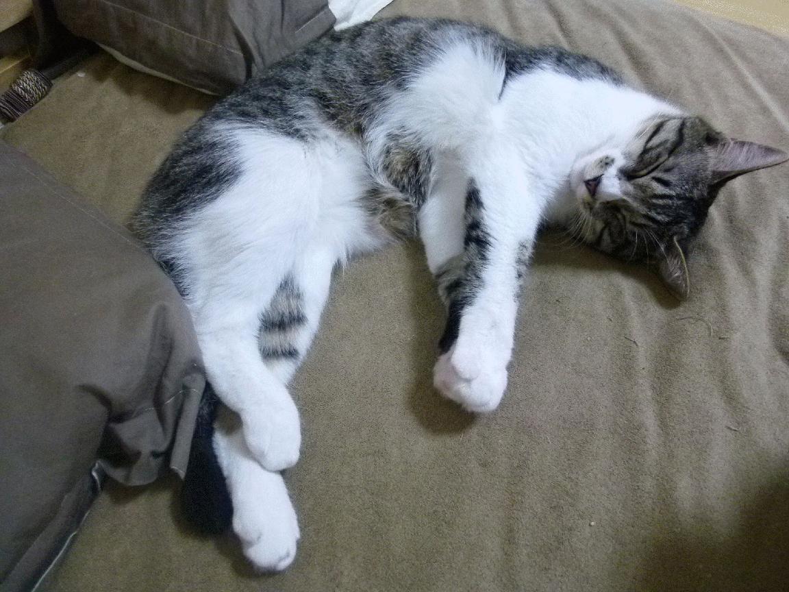 英超争冠之夜，爱德华兹一锤定音，十年蛰伏铸就三秒封神