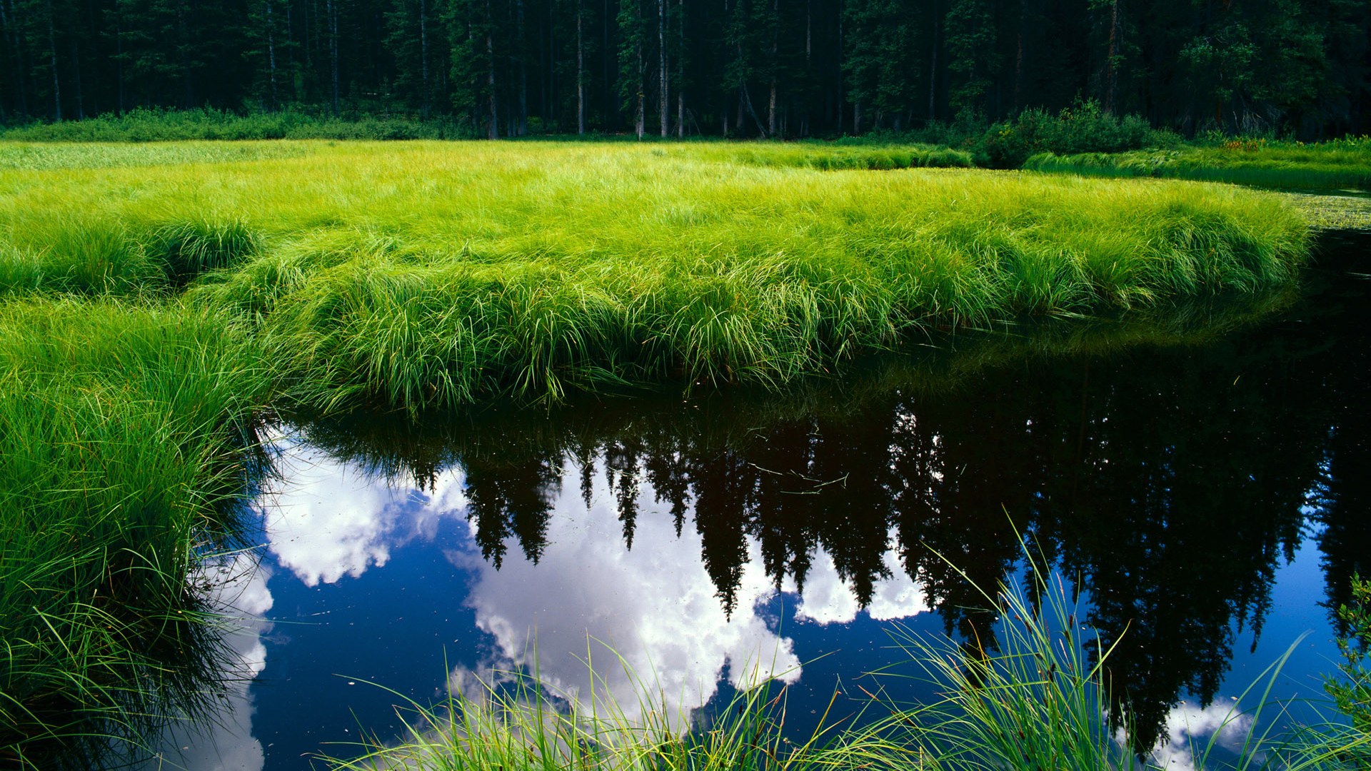 布伦森关键11分逆转夜空，当F1揭幕战之夜响起篮球脉动
