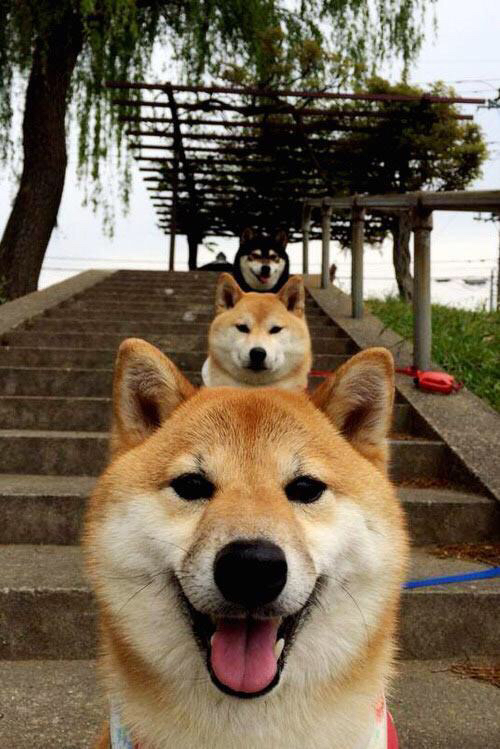 塞维利亚的钢铁洪流，当关键先生久保建英撞上瑞士的铜墙铁壁